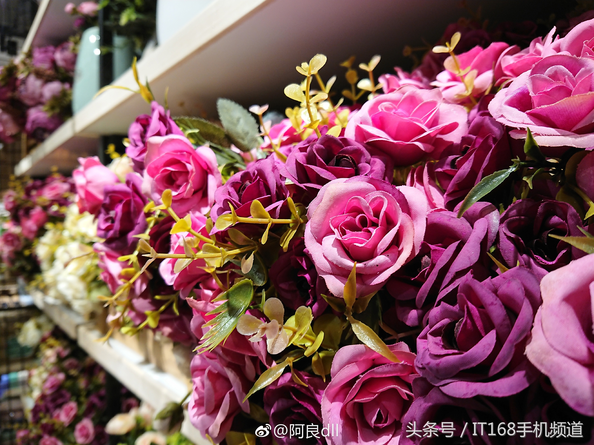 索尼xperia5iii和xperia1iii,索尼xperia1iii和索尼xperia5ii