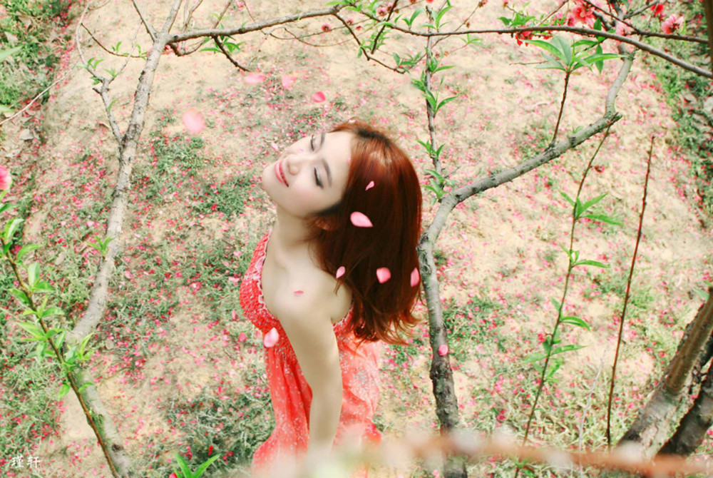 花期开到荼蘼只剩下泛黄的记忆,开到荼蘼花事了尘缘尽