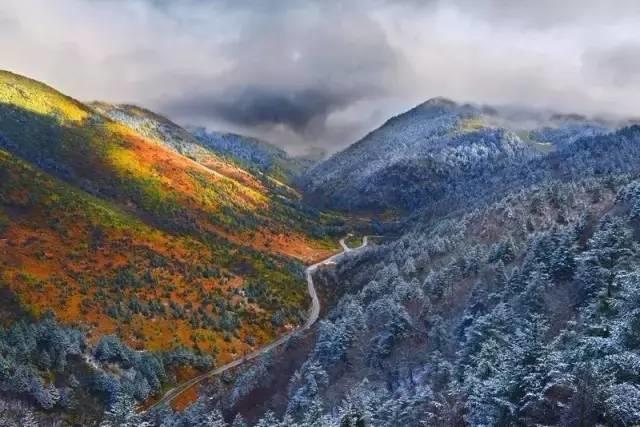 世界那么大，偏独爱神农架