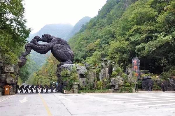 世界那么大，偏独爱神农架