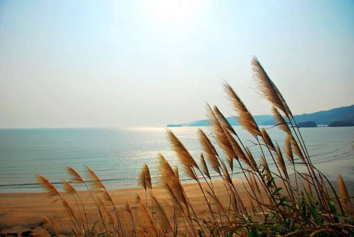 旅游小贴士｜关于儿童车位，餐位，导服，保险，床位，门票说明！