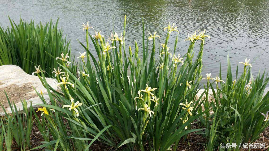 为宝宝驱蚊子,为宝宝驱蚊的办法