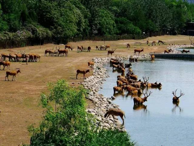 北京国际博物馆日哪些博物馆免费,北京小众博物馆免费开放一览表