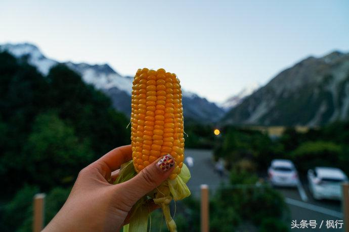 新西兰|南岛自驾16天,那些衣食住行不完全攻略