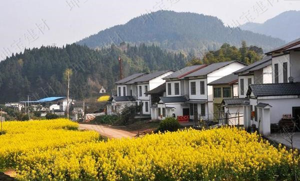 树脂瓦新农村改造项目,树脂瓦的市场前景