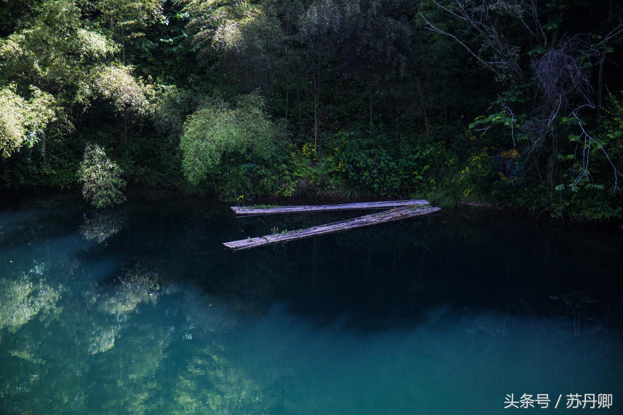 在水下洞穴探险,森林海自由潜水