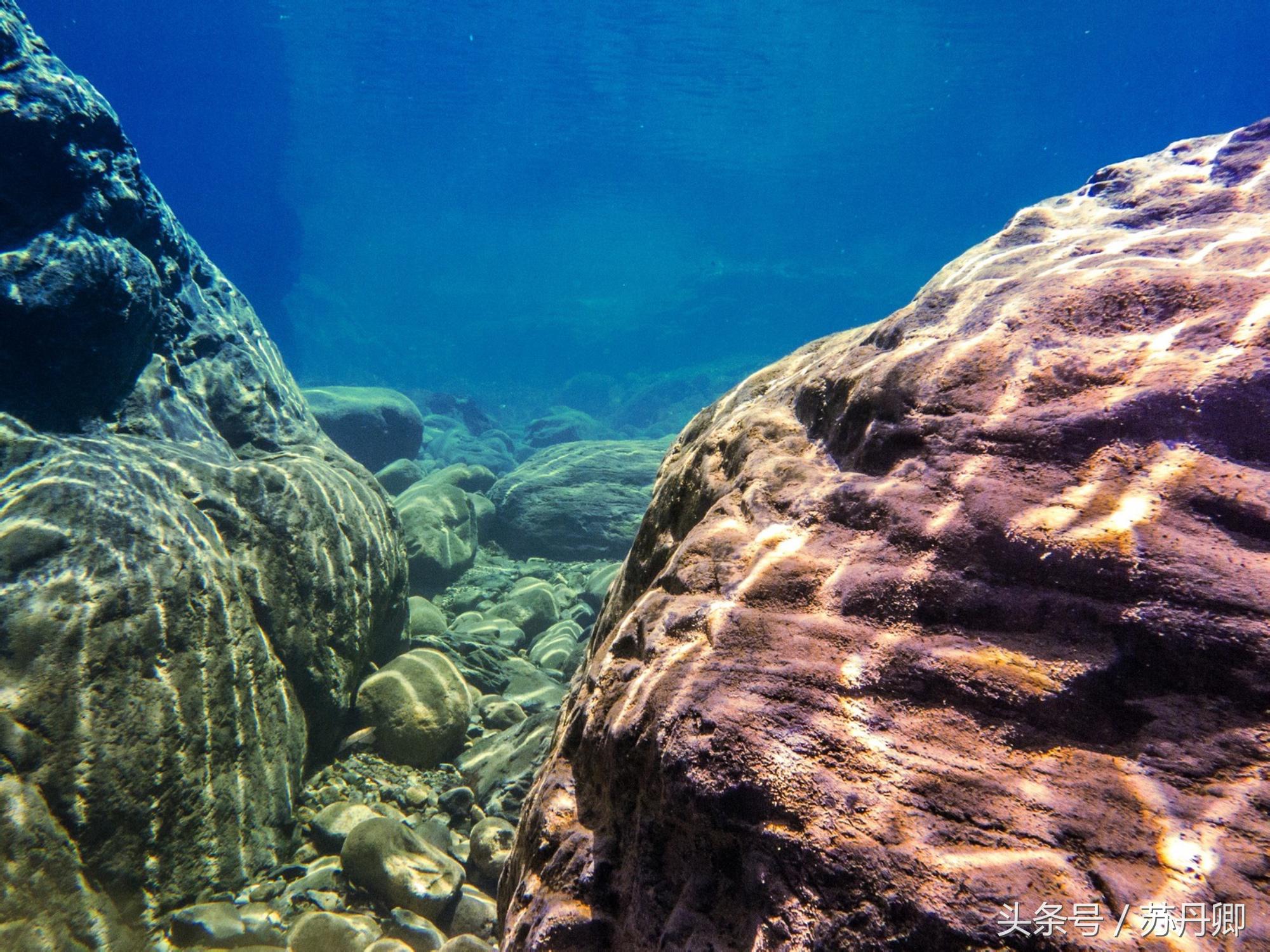 在水下洞穴探险,森林海自由潜水