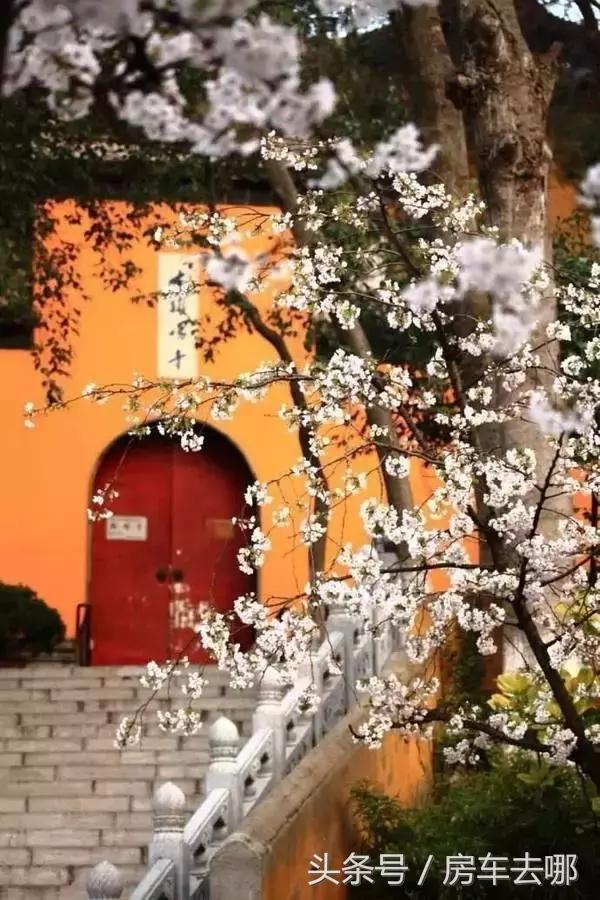 开着房车去南京,开着房车去旅行玩的就是不一样