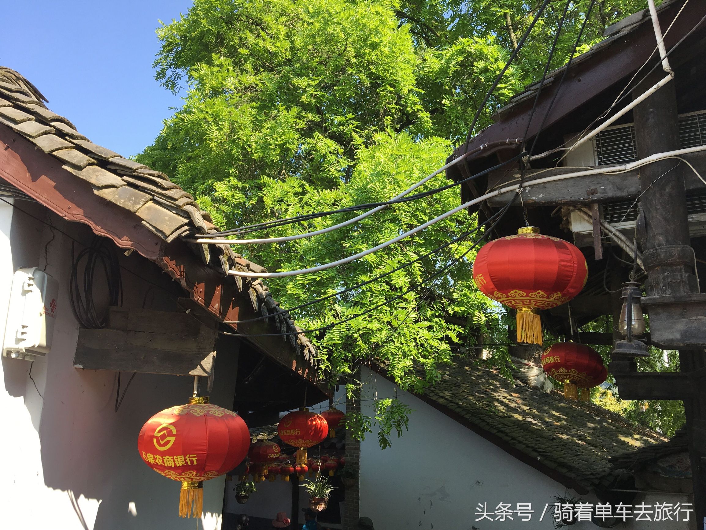 后柳水乡游船还是三峡游船好,汉江三峡和后柳水乡是一个景区吗