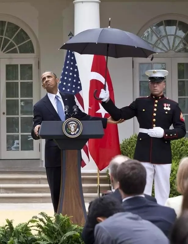 适合的雨伞推荐,雨伞推荐高颜值女大伞