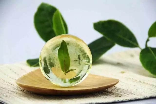 中国国际茶叶博览会杭州,国际茶叶博览会安吉白茶