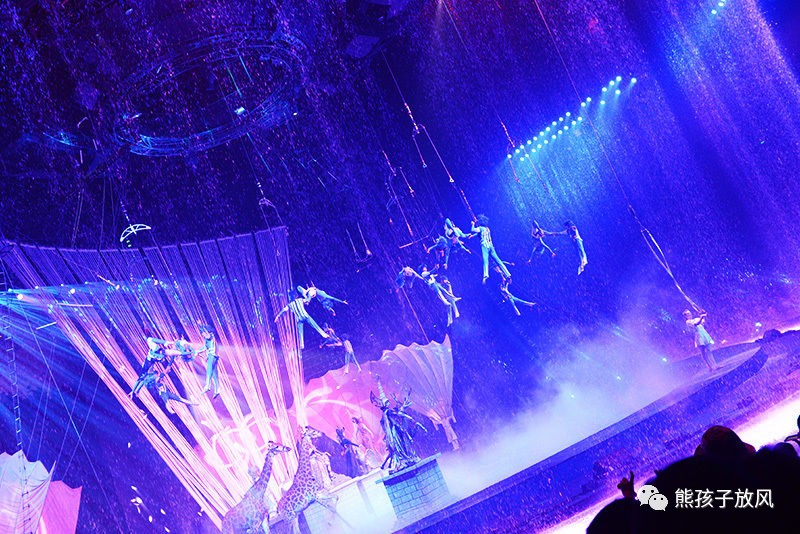 旅游攻略广州长隆野生动物园,游玩广州长隆野生动物园攻略