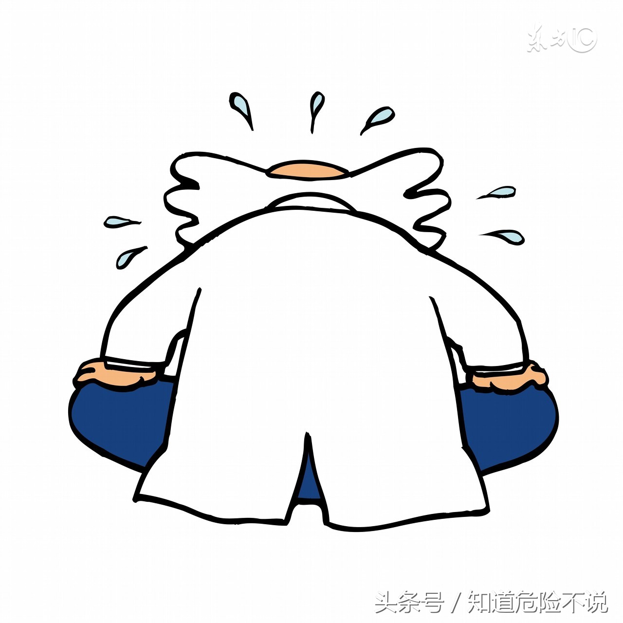 苹果惊喜版,苹果惊喜