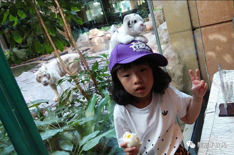 广州长隆野生动物园游玩攻略,广州长隆野生动物园攻略自由行