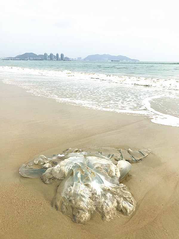 三亚自由行含机票豪华游艇体验,三亚自由行旅游必备