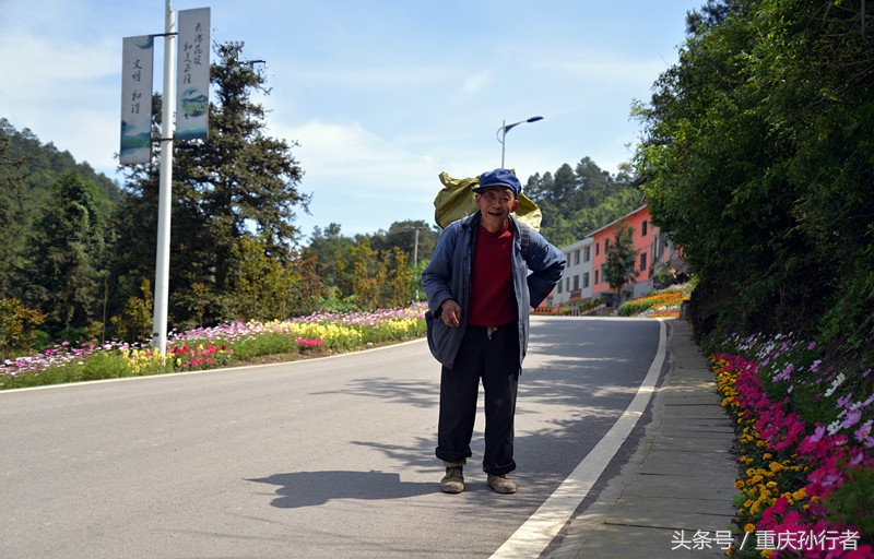 綦江花坝：以花为媒村民吃上旅游饭
