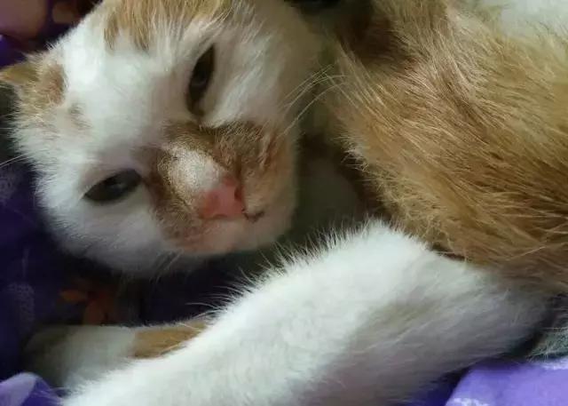 “深夜的地铁上,不只我一个人”|89条城市青年安全指南