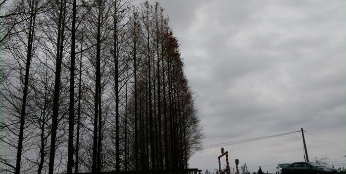 有毛不算秃含义,有毛不算秃怎么回复