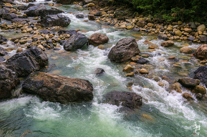 哪儿有原始森林拍照的景区,冬天适合拍照的原始森林