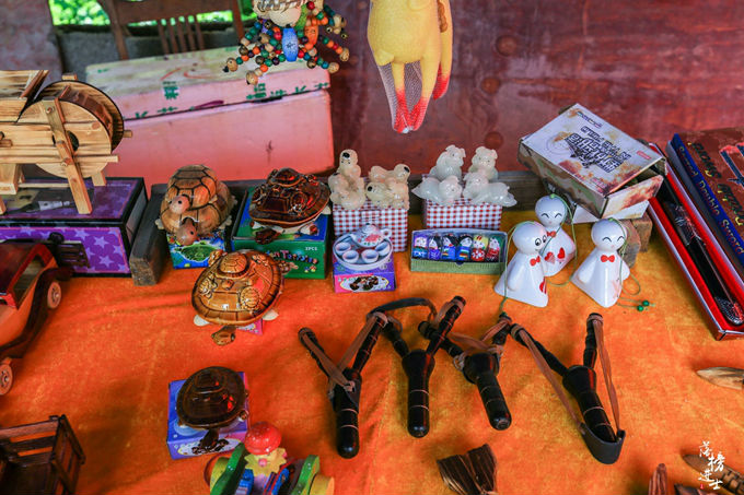 哪儿有原始森林拍照的景区,冬天适合拍照的原始森林