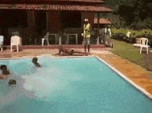 我只注意到后面的亮点了,哈哈