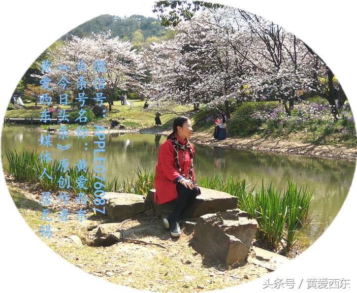 欢乐颂应勤对莹莹好,欢乐颂2应勤问邱莹莹