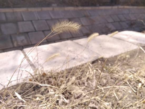 6400万像素你能信?糖果S9震撼来袭!