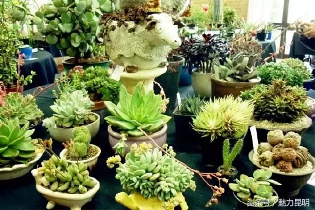 对不起我要去西安了,再见宜良