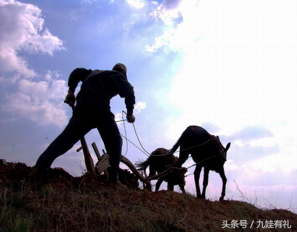 人活脸树活皮好不好,人活眉眼树活皮类似格言