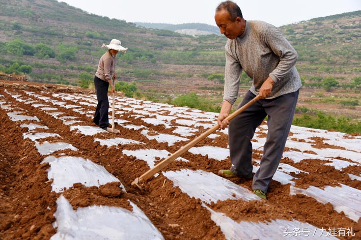 人活脸树活皮好不好,人活眉眼树活皮类似格言