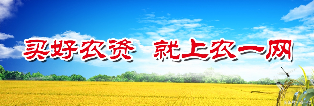 植保专家魏明:一堂讲课引发的一次远行