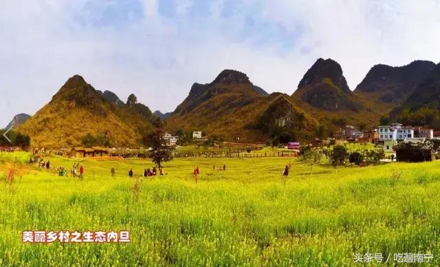 上林旅游有什么好玩的地方,上林好玩地方攻略必去景点