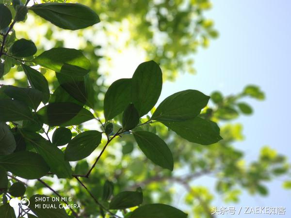 小米6还值得买吗,小米6目前还值得入手么