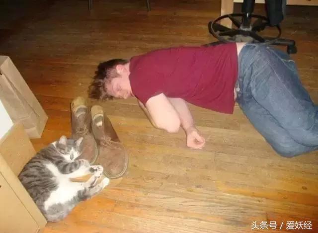 狗狗水床,爱妖经