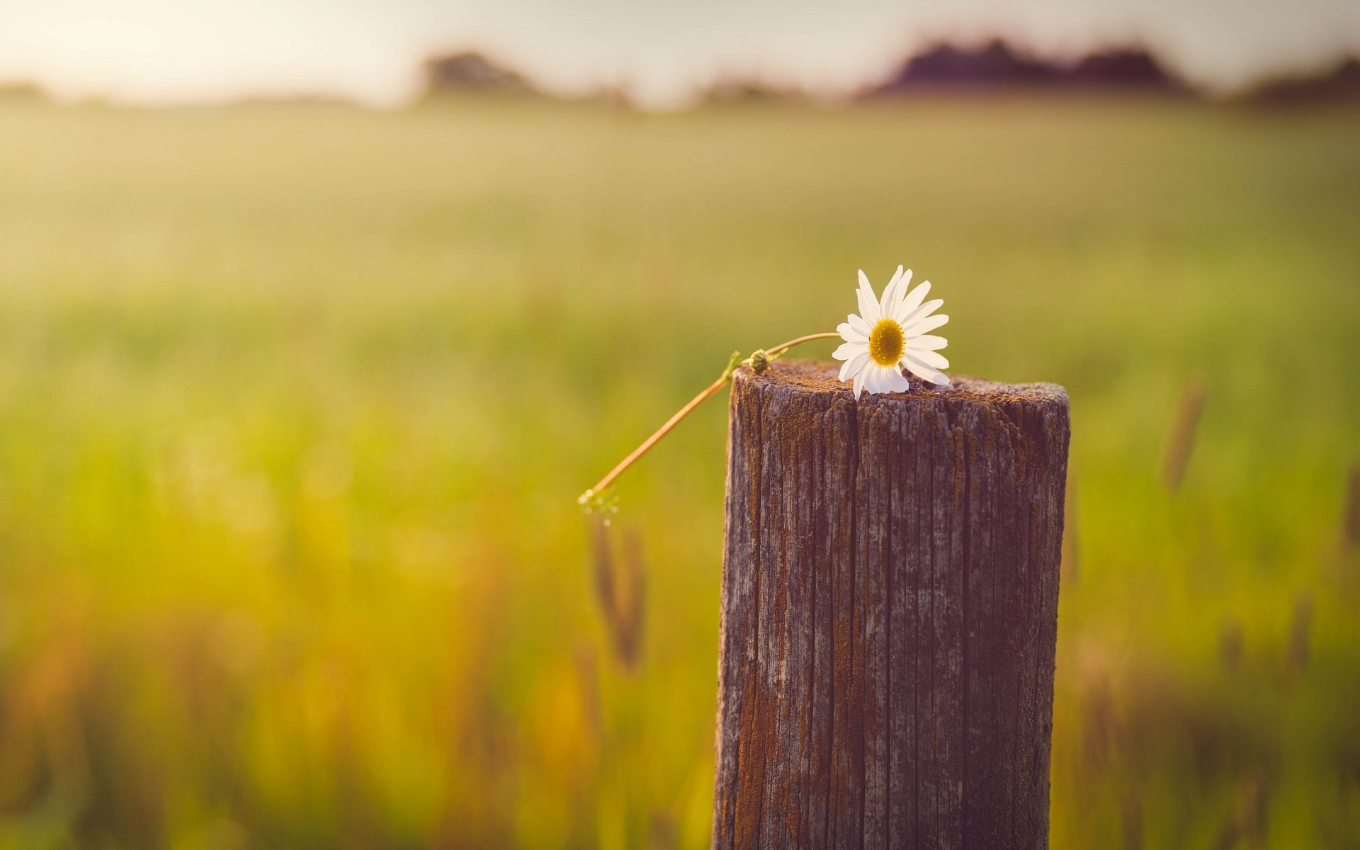 苏东坡顿悟人生,体现苏东坡的人生态度