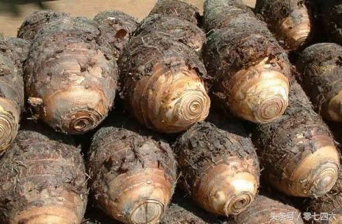 湖南好吃的特产永州祁阳,湖南永州祁阳冷粑做法