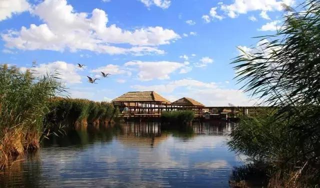 这是我的家乡内蒙古,内蒙古美丽的巴彦淖尔