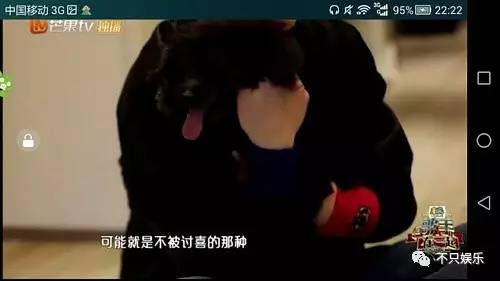 萧敬腾领养狗狗,萧敬腾领养孩子