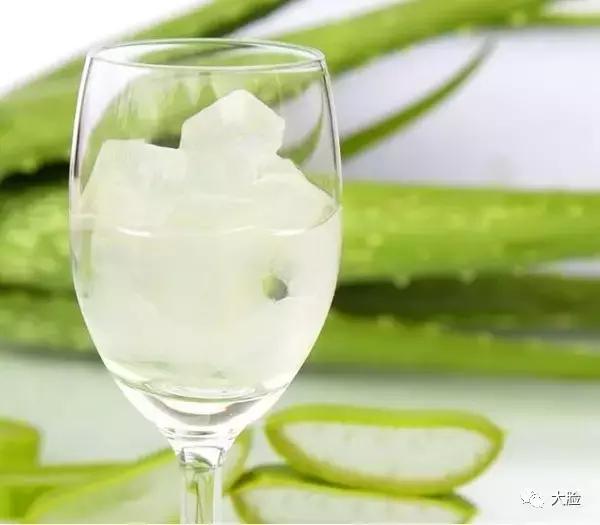 芦荟排毒减肥食谱,芦荟怎样做才减肥