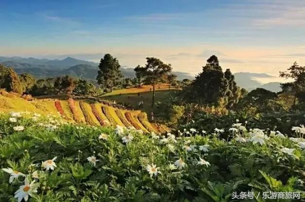 清迈小众私藏攻略,清迈旅行必备