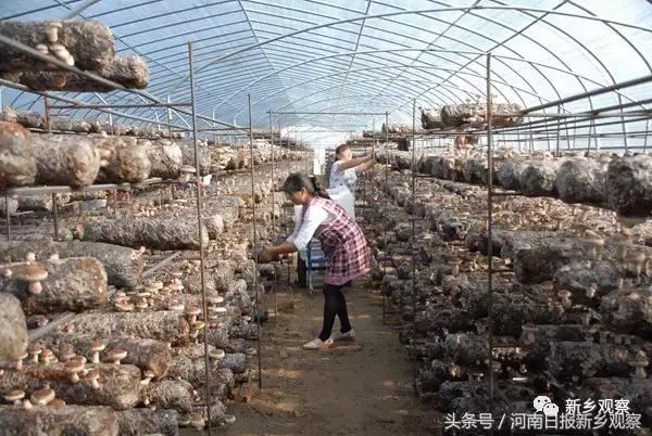 总理牵挂的这件事儿，看看封丘干得咋样