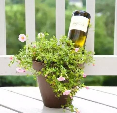 自制万能自动浇花神器,自动浇花神器自制