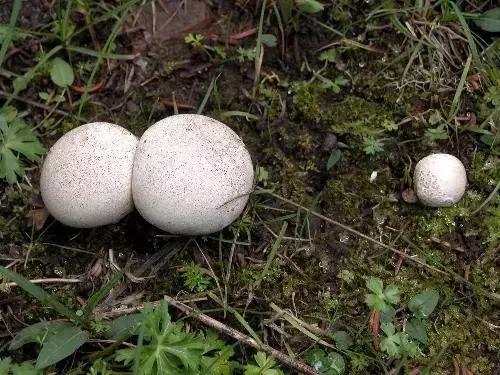 太行山最值得去的地方有哪些,太行山母亲