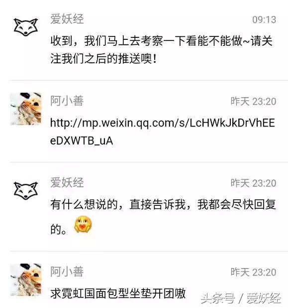 爱妖经｜买了这个猫咪专用土司坐垫，也许我们就能有猫了！