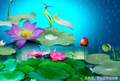 亲人临终念佛往生极乐世界,如何帮助亲人往生极乐世界