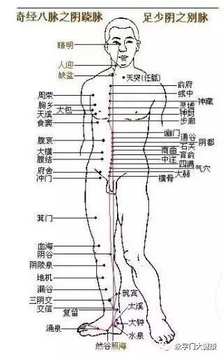 奇经八脉理论完整版,奇经八脉详解视频