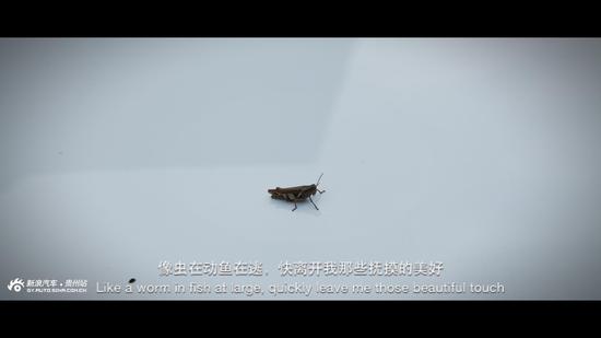 驶向春天歌曲原唱,奥迪a5敞篷版国内上市