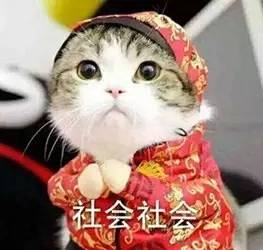 矮大紧长相图片,14到18岁脸型对比图