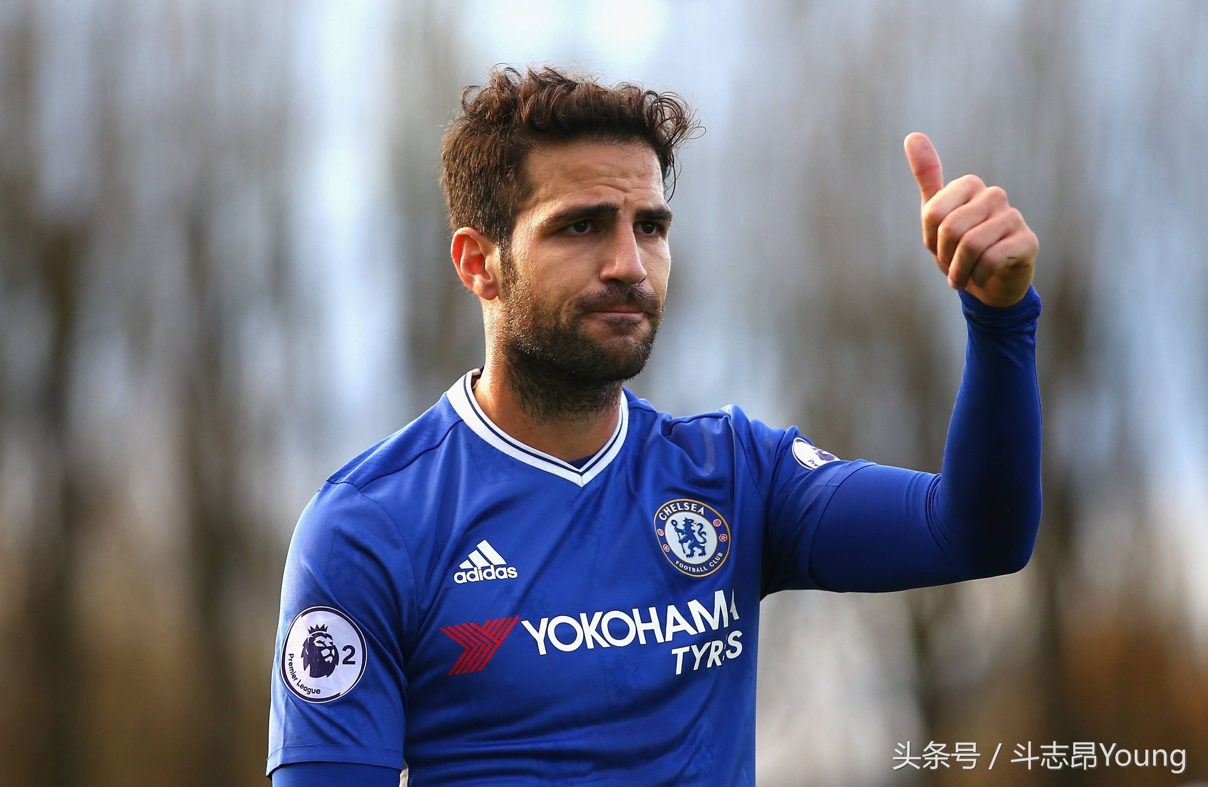 瓒崇悆瑙嗙嚎,瓒崇悆鏂拌閲庣涓冩湡