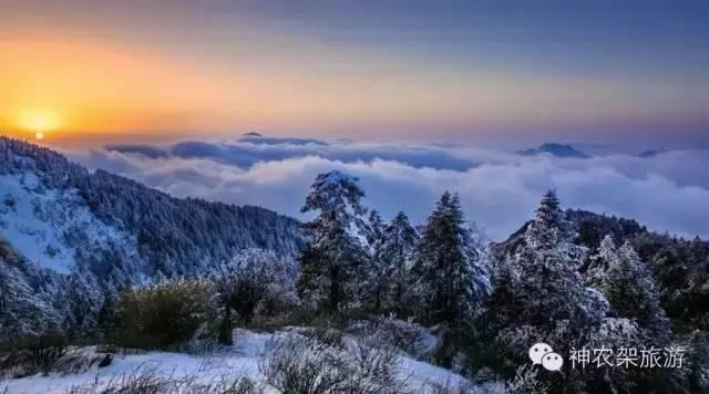 世界那么大，偏独爱神农架